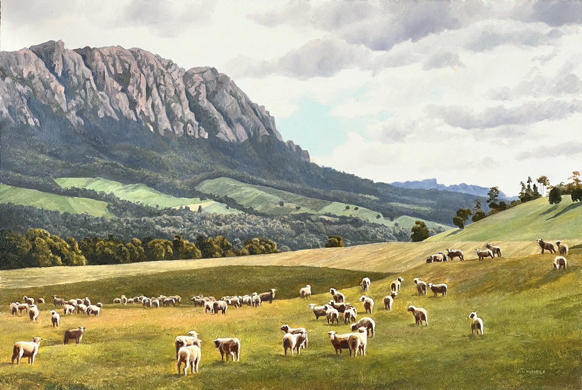 Sheep under Mt Roland